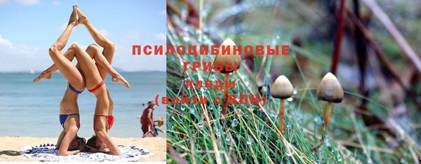 ешки Михайловск