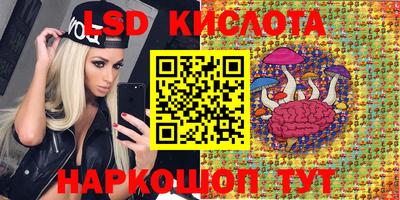 гашик Будённовск