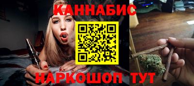 гашик Будённовск