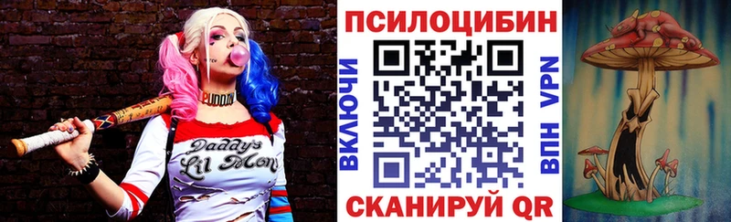 купить наркоту  Михайловск  Псилоцибиновые грибы Psilocybe 